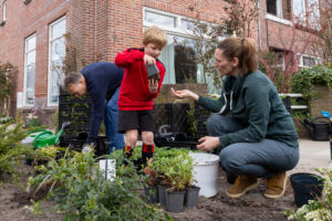 Twee volwassen buurtbewoners en een kind zijn samen plantjes in een boomspiegel aan het planten. Het kind geeft een plantje aan een van de volwassenen, terwijl de derde persoon bukt om een plantje in de grond te zetten.